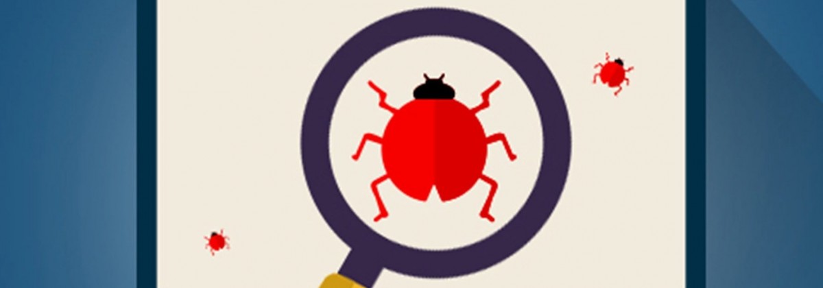 Software Bug